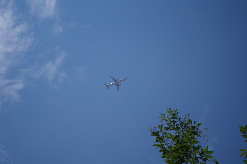 17_青空と飛行機