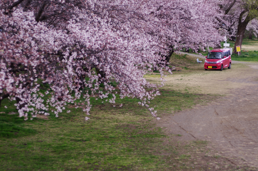 公園にて_4