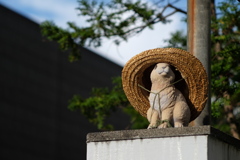 夏、はじまる。