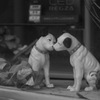 ノスタルジー_6