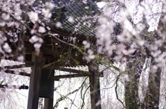 安養寺T90_4