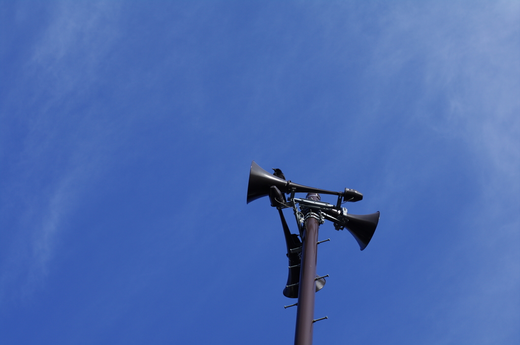 聞こえますカァ〜　ZENITAR_3枚目