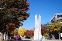 黄葉_文化会館1