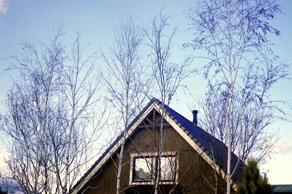 白樺と煙突のある家