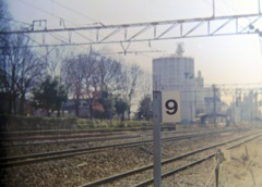 nine