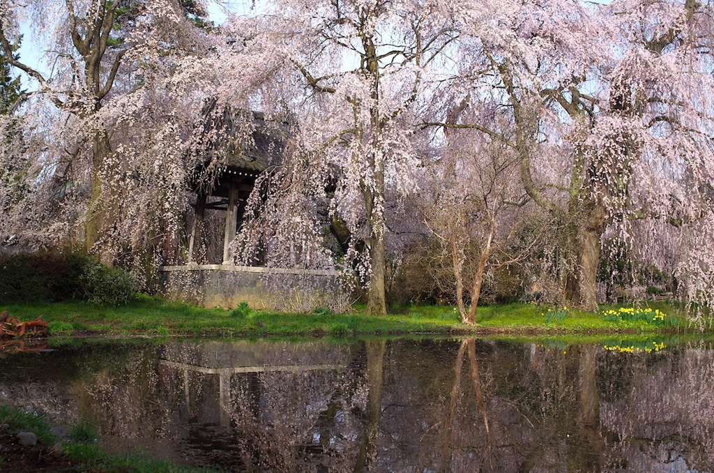 安養寺M28_1