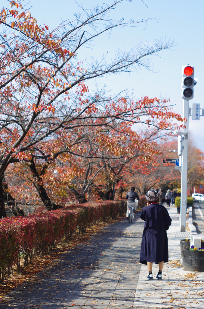 秋の歩道にて