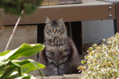 写真撮ってもいい?
