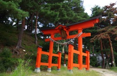 1_千鹿頭神社 鳥居