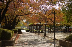 公園_1