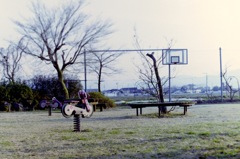 早春の公園