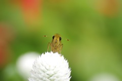 こんにちは。