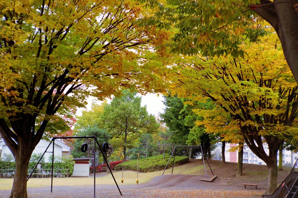 秋の公園_フィルムにて