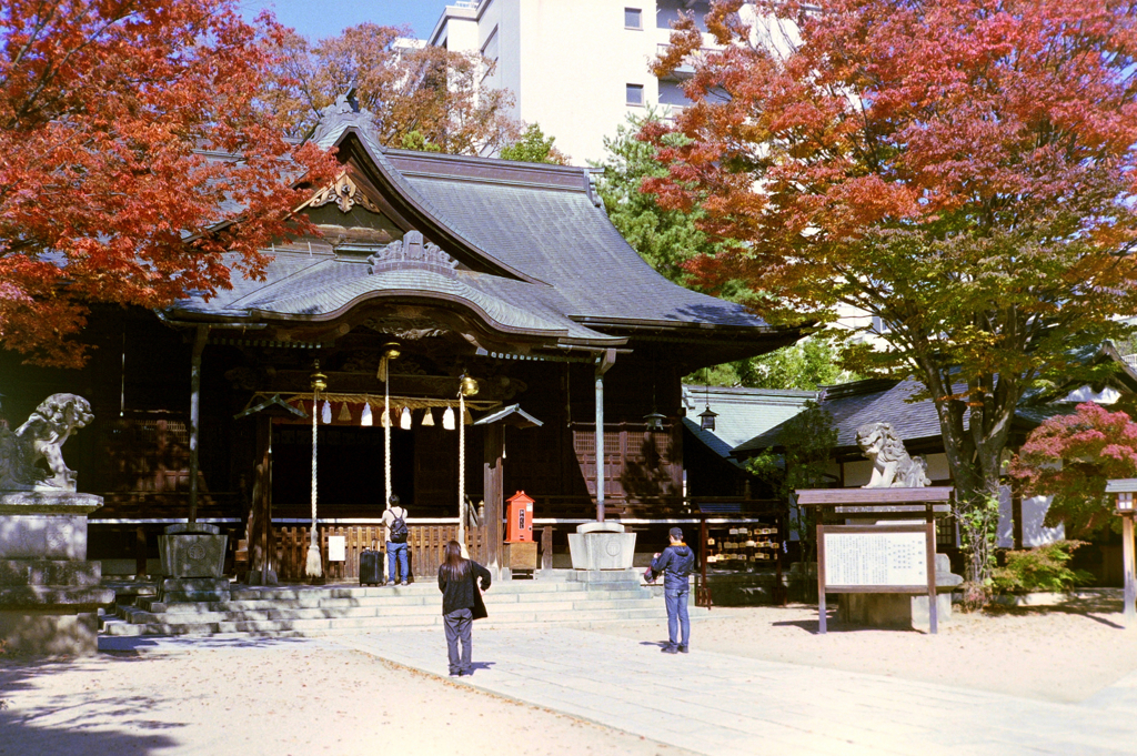 紅葉の神社_フィルムにて