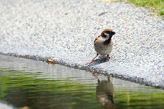 そーっと