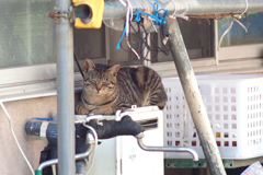 落ち着く場所