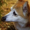 メヤニが取れないの…