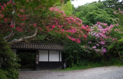 06_枇杷の湯