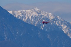 アルプスに飛ぶ