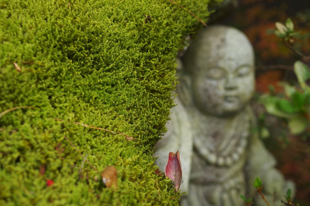 法蔵寺_9