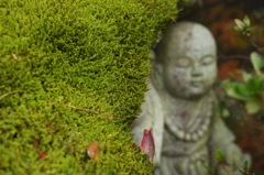 法蔵寺_9