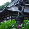 あじさい寺にて_1