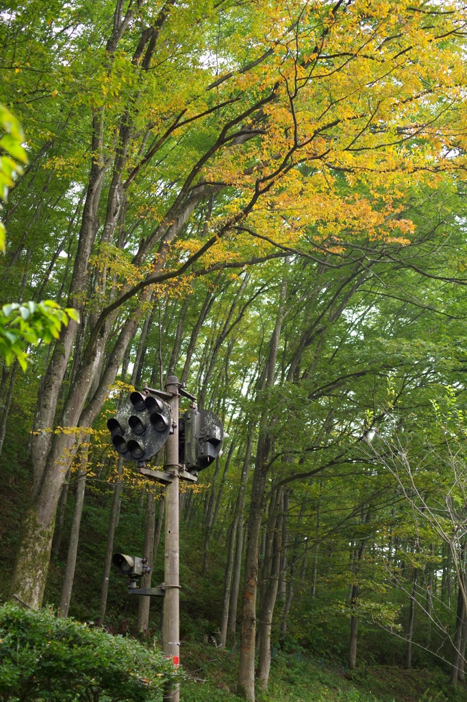 けやきの森自然園_6