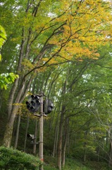 けやきの森自然園_6