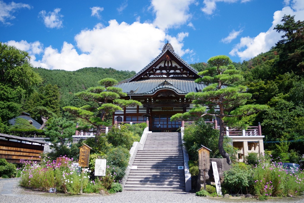 玄向寺_1