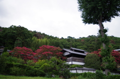 01_枇杷の湯