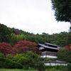 01_枇杷の湯
