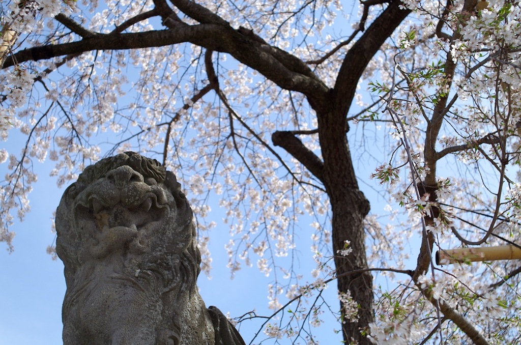 兎川寺_M28_1