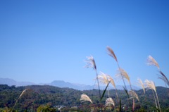 遊歩道から_有明山