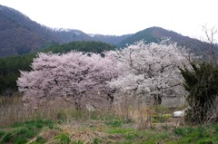 田多井の奥_A30
