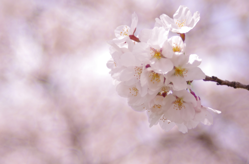 公園にて_8