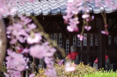 兎川寺_T90_1