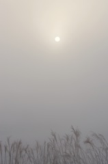 3_霧の白鳥湖