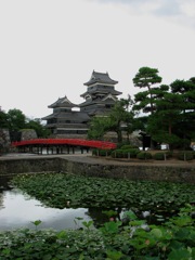 松本城と蓮のあるお堀