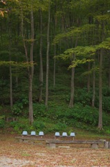 けやきの森自然園_3