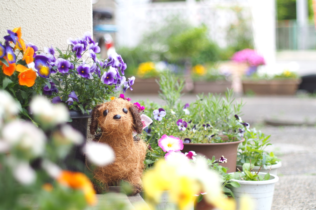 花に囲まれて