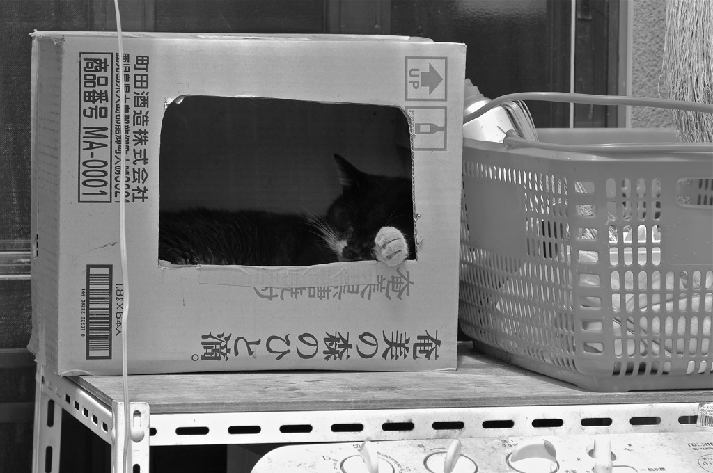 コインを置いてください。
