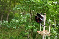 けやきの森自然園_4