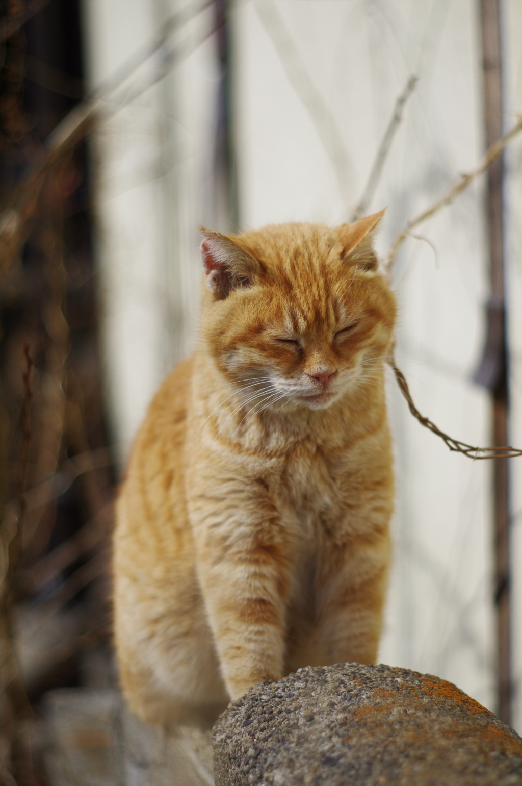 微睡みの時間_2