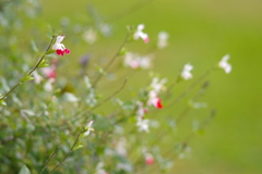 M120試し撮り_ホットリップス