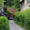 04_枇杷の湯