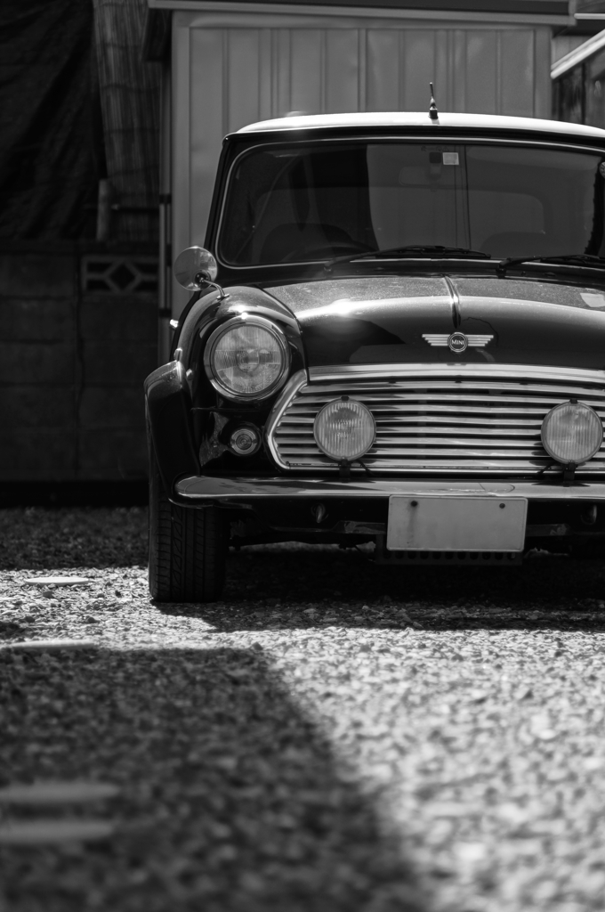 ROVER MINI
