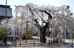 兎川寺_M28_2