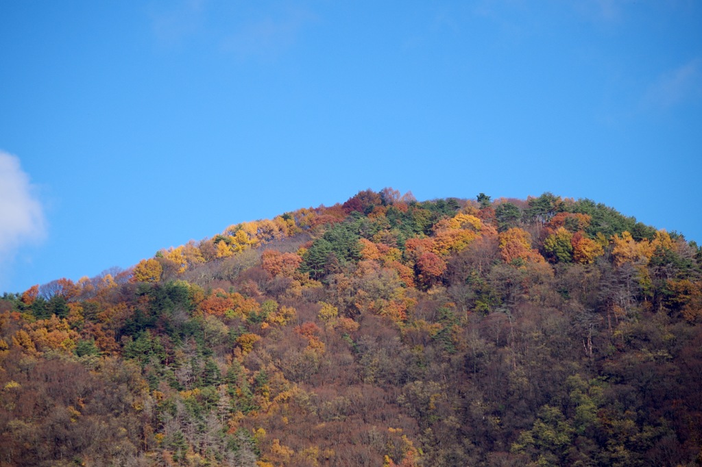 山の紅葉_2