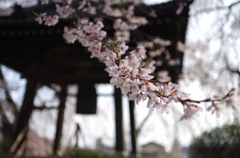 安養寺M28_2