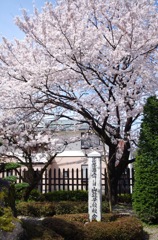 旧山辺学校_M28_1